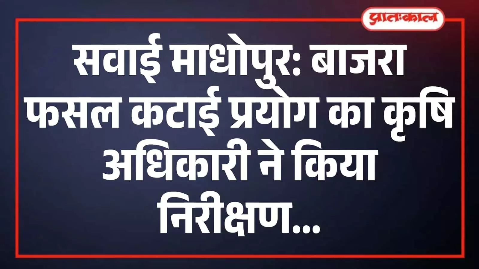 सवाई माधोपुर: बाजरा फसल कटाई प्रयोग का कृषि अधिकारी ने किया निरीक्षण सवाई माधोपुर: बाजरा फसल कटाई प्रयोग का कृषि अधिकारी ने किया निरीक्षण