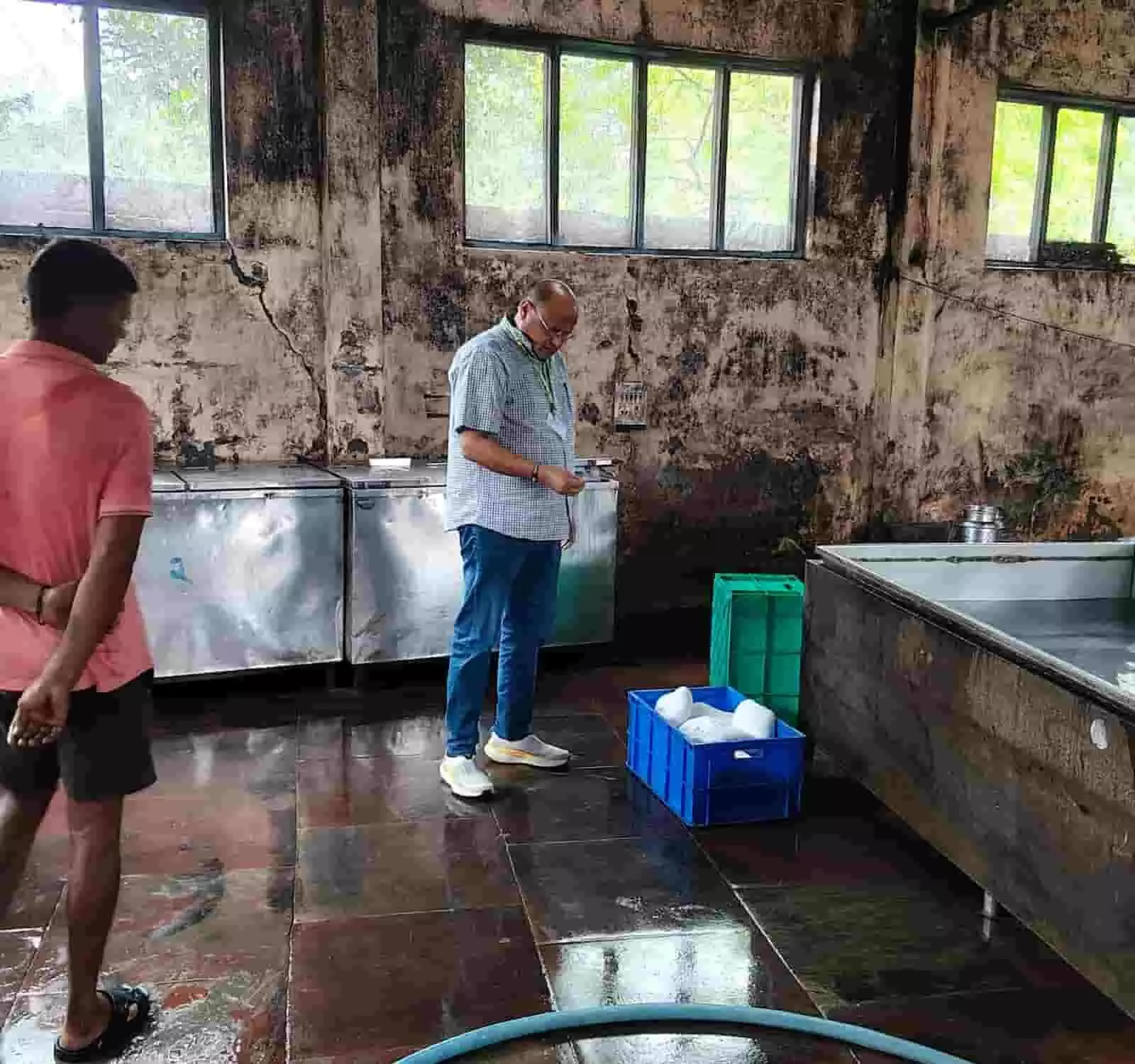 तस्वीर में एक अधिकारी डेयरी परिसर में रखे बक्से में खाद्य पदार्थों की जांच कर रहे हैं। तस्वीर में एक अधिकारी डेयरी परिसर में रखे बक्से में खाद्य पदार्थों की जांच कर रहे हैं।