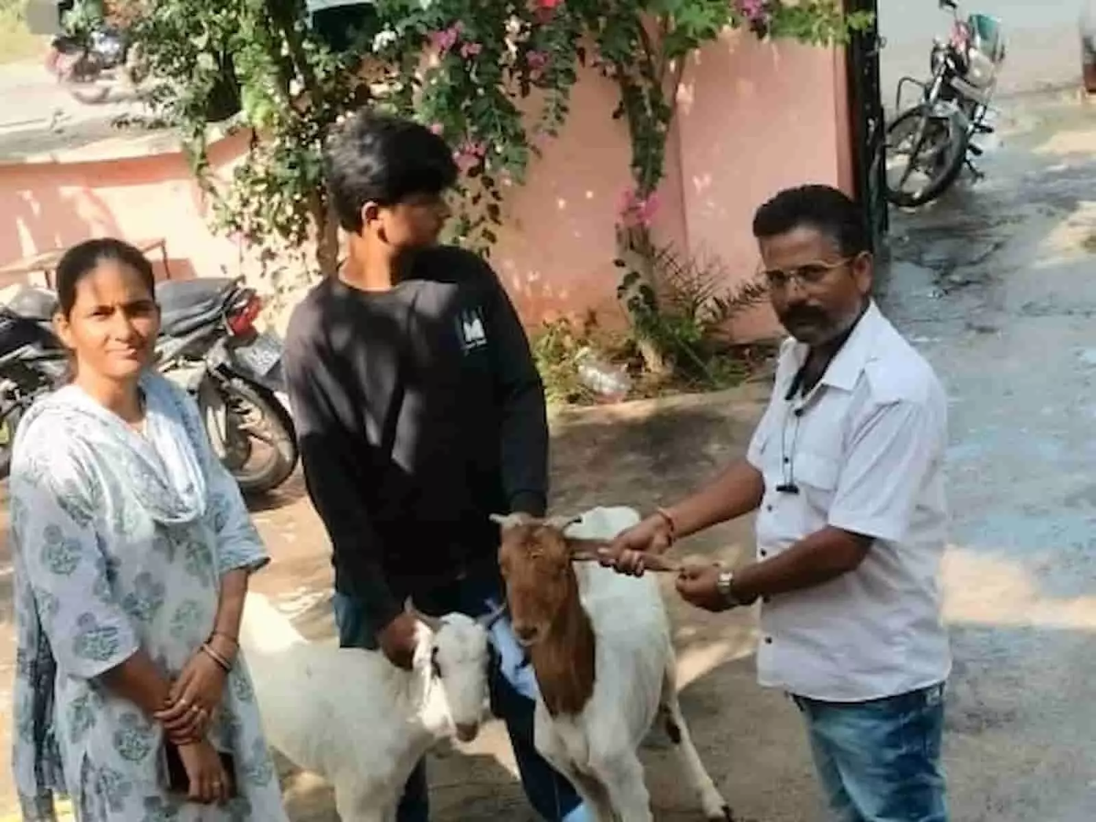 तस्वीर में बाएं से दाएं खड़ी महिला, युवक और पशु चिकित्सा कर्मी बीमार बकरी का इलाज कर रहे हैं। तस्वीर में बाएं से दाएं खड़ी महिला, युवक और पशु चिकित्सा कर्मी बीमार बकरी का इलाज कर रहे हैं।
