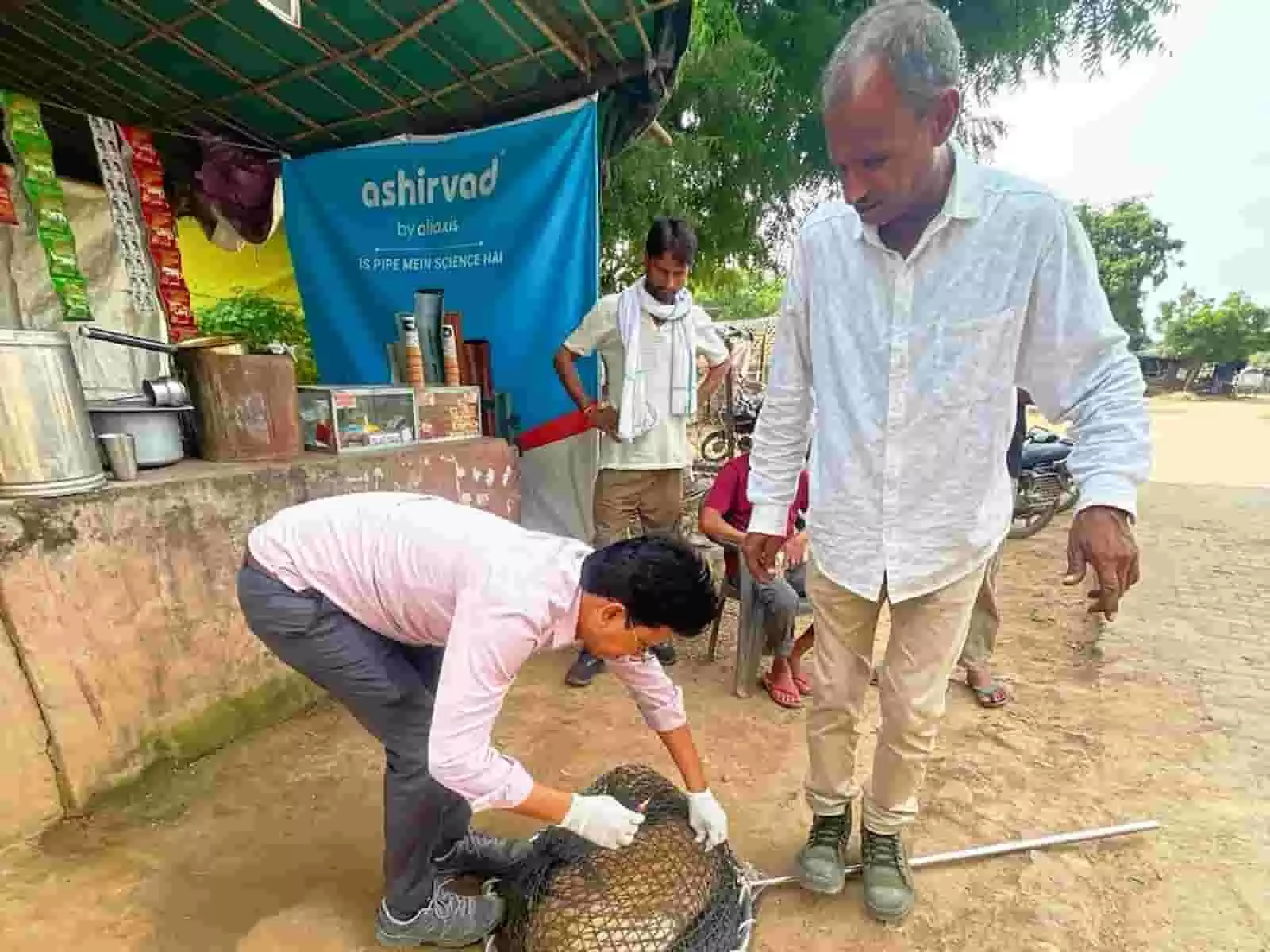 तस्वीर में जाल में फंसे श्वान को कर्मचारी रेबीज का टीका लगा रहे हैं। तस्वीर में जाल में फंसे श्वान को कर्मचारी रेबीज का टीका लगा रहे हैं।