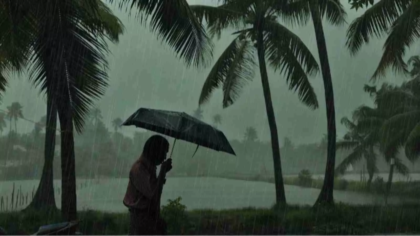 बारिश के बीच छाता लिए व्यक्ति दक्षिण भारत में वर्षा के दौरान। बारिश के बीच छाता लिए व्यक्ति दक्षिण भारत में वर्षा के दौरान।
