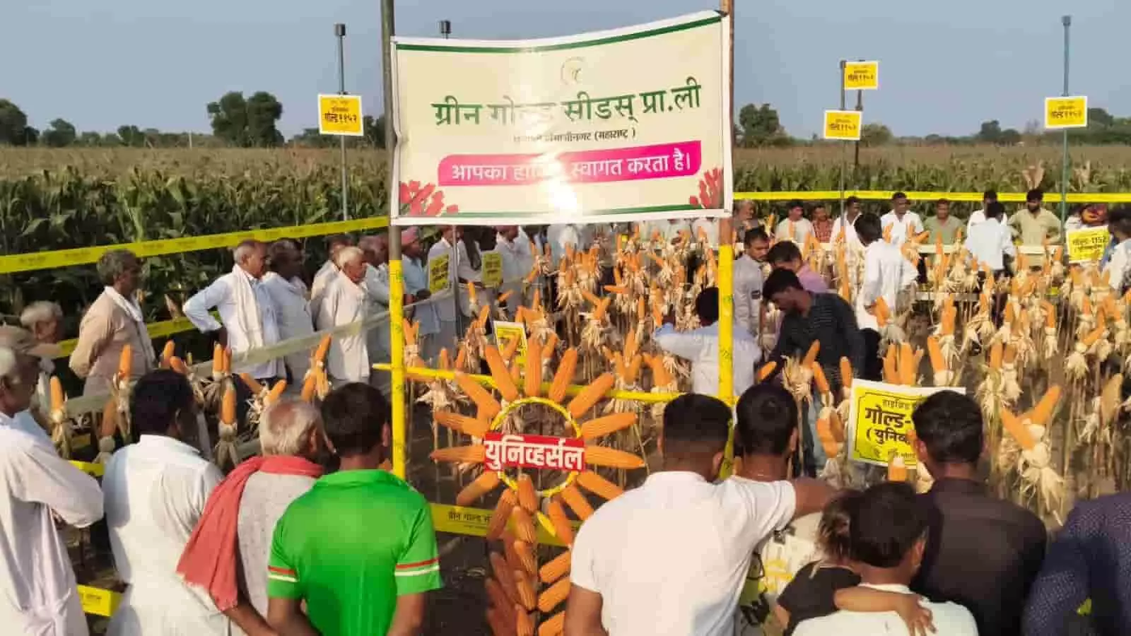 तस्वीर में दिख रही मक्का की फसल और बैनर के आसपास खड़े किसान दिखाई दे रहे हैं। तस्वीर में दिख रही मक्का की फसल और बैनर के आसपास खड़े किसान दिखाई दे रहे हैं।