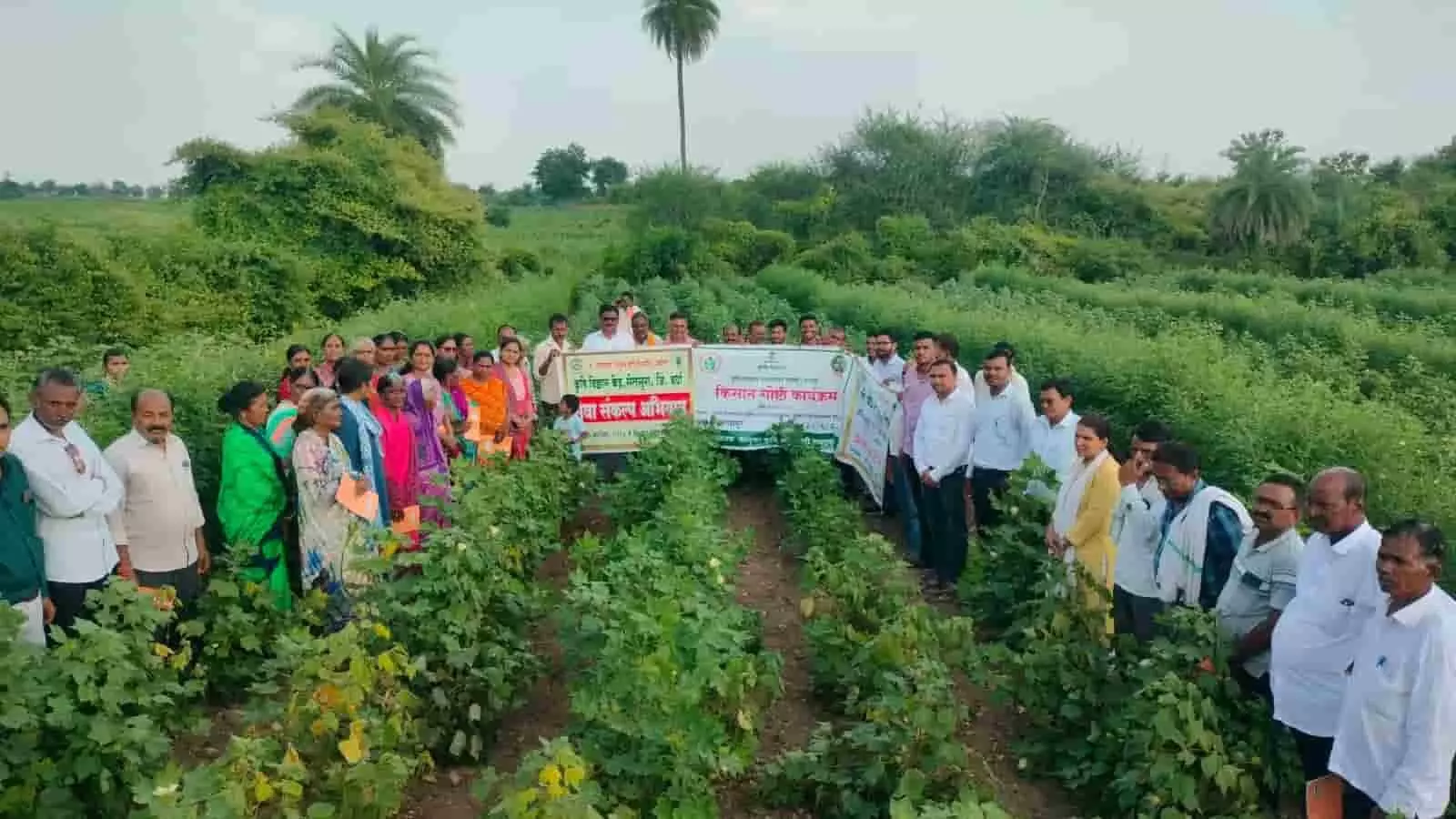 तस्वीर में बावापुर के खेत में किसान गोष्ठी कार्यक्रम के दौरान मौजूद किसान और अधिकारी. तस्वीर में बावापुर के खेत में किसान गोष्ठी कार्यक्रम के दौरान मौजूद किसान और अधिकारी.