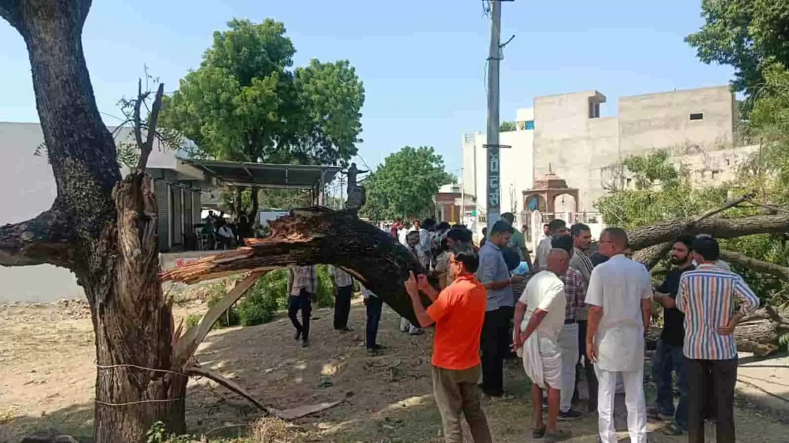 खेरोदा में सड़क पर गिरे नीम के पेड़ और टूटे पोल को देखते लोग। खेरोदा में सड़क पर गिरे नीम के पेड़ और टूटे पोल को देखते लोग।