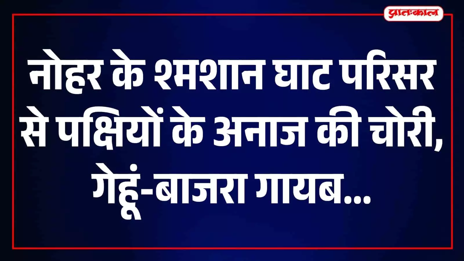 श्मशान घाट में भी चोरी, पक्षियों के चुग्गे के लिए रखा दो बोरी अनाज ले गए चोर श्मशान घाट में भी चोरी, पक्षियों के चुग्गे के लिए रखा दो बोरी अनाज ले गए चोर