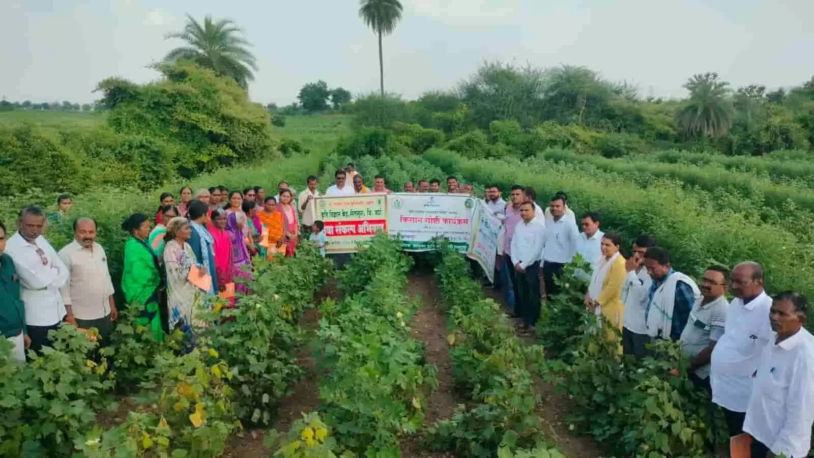 तस्वीर में दिख रही जगह पर बावापुर के खेत में किसान और कृषि विशेषज्ञ बैनर थामे खड़े हैं। तस्वीर में दिख रही जगह पर बावापुर के खेत में किसान और कृषि विशेषज्ञ बैनर थामे खड़े हैं।