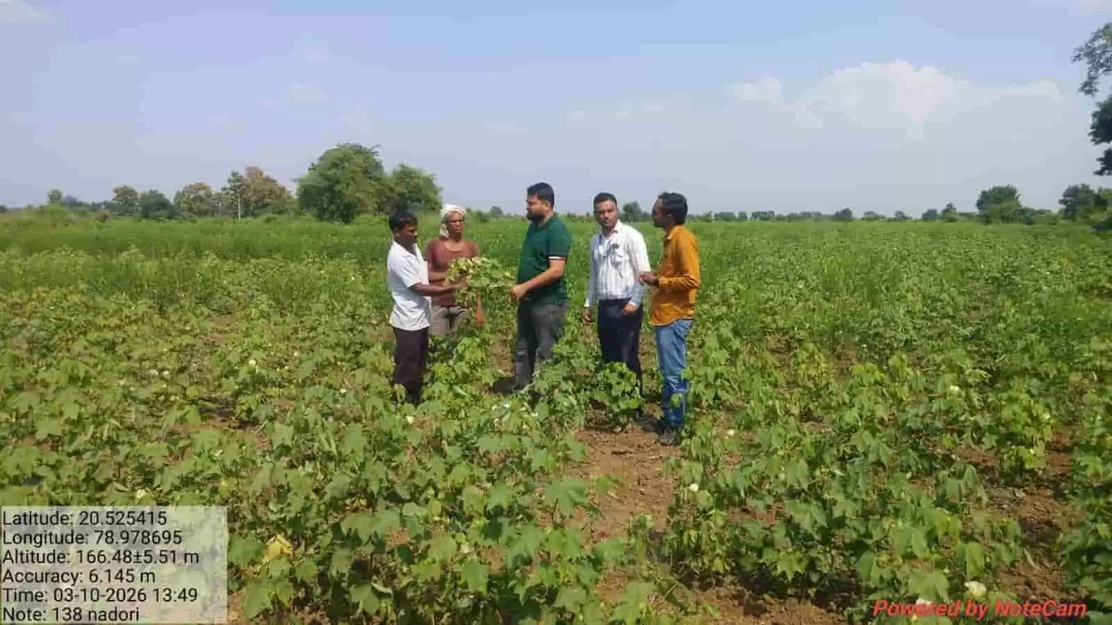 तस्वीर में अधिकारी और किसान समुद्रपुर के सूखे खेत में फसल का निरीक्षण करते दिख रहे हैं। तस्वीर में अधिकारी और किसान समुद्रपुर के सूखे खेत में फसल का निरीक्षण करते दिख रहे हैं।