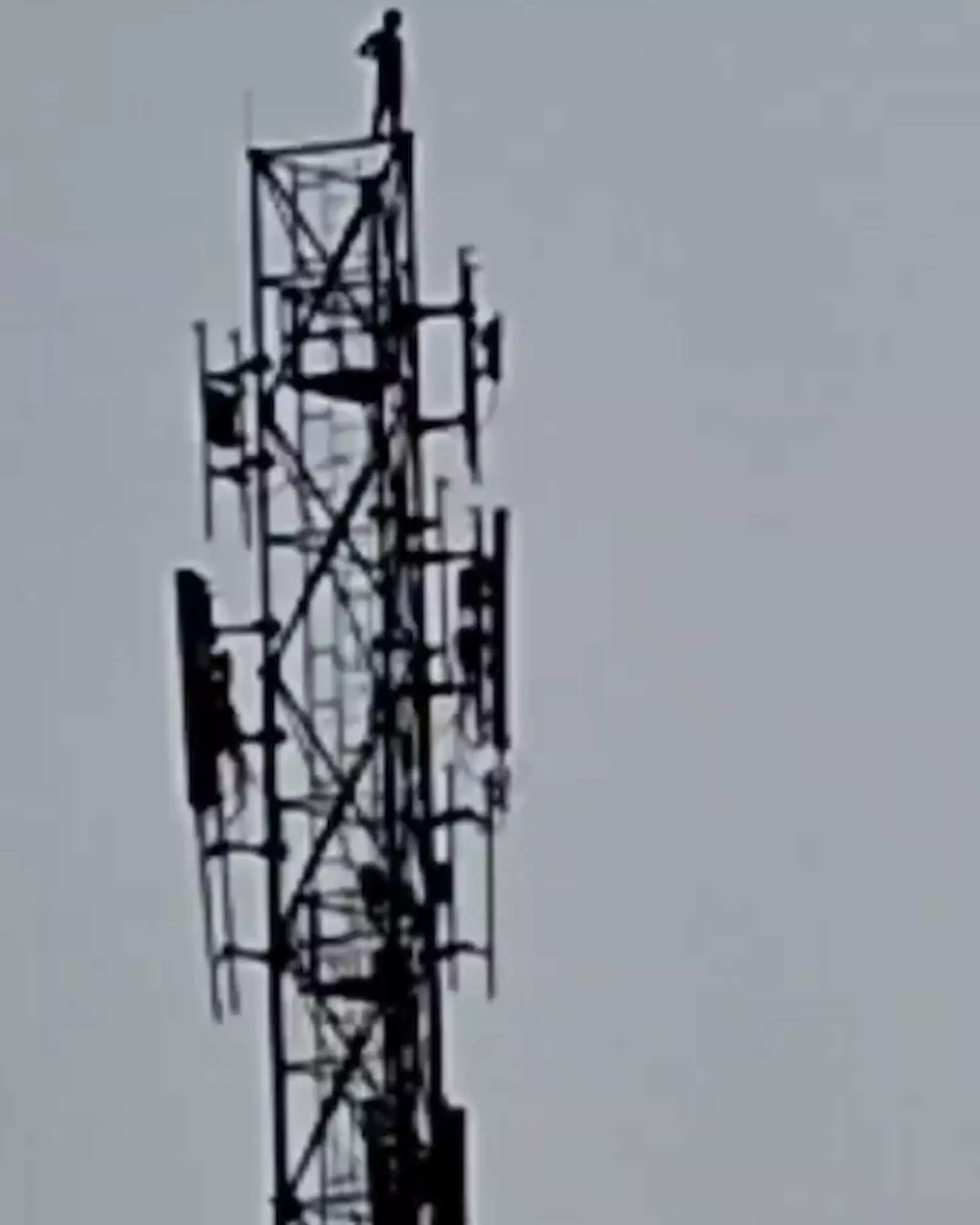 तस्वीर में ऊंचे मोबाइल टावर के शीर्ष पर खड़ा एक व्यक्ति साफ तौर पर दिखाई दे रहा है। तस्वीर में ऊंचे मोबाइल टावर के शीर्ष पर खड़ा एक व्यक्ति साफ तौर पर दिखाई दे रहा है।