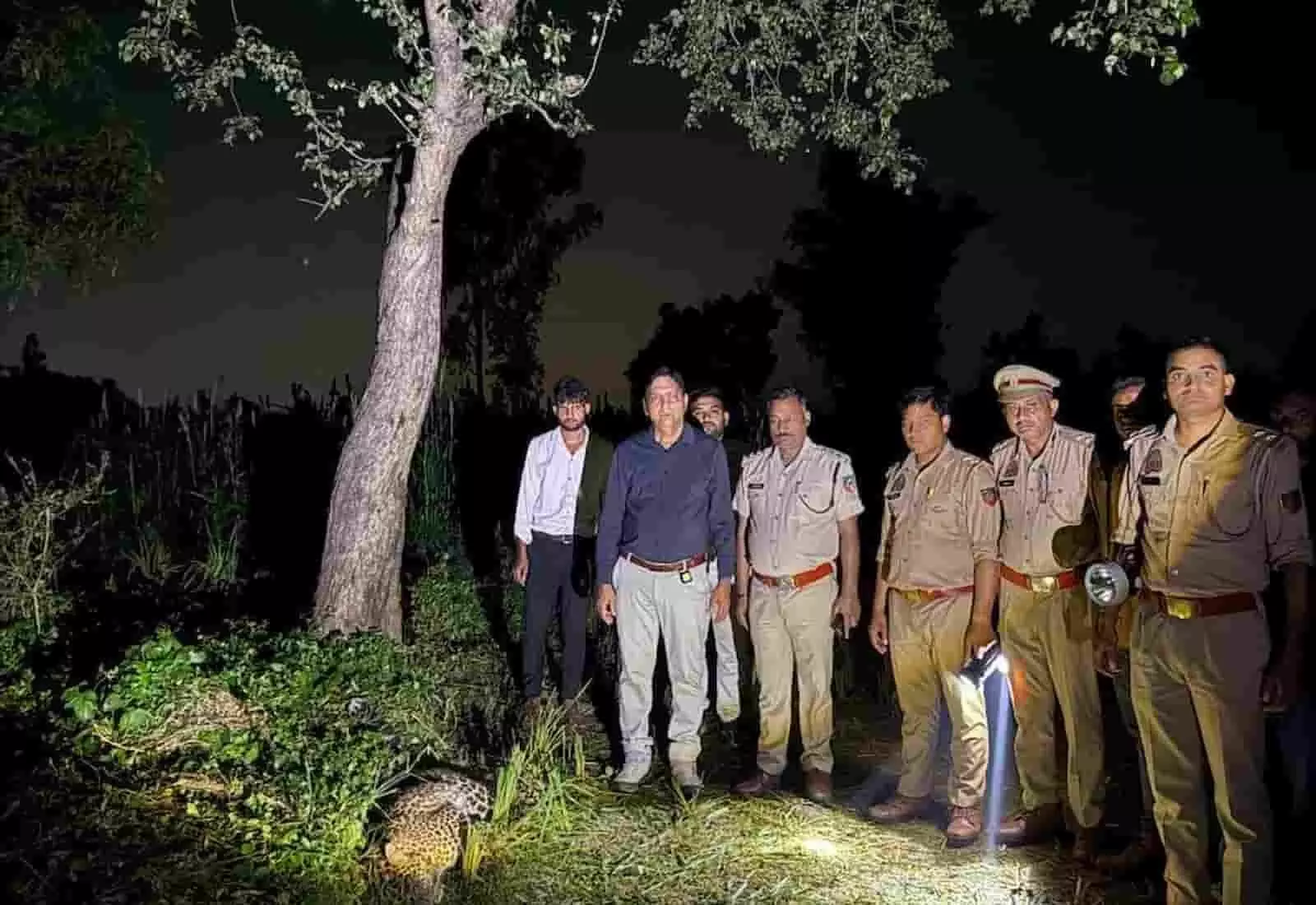 तस्वीर में दिख रही वन विभाग और पुलिस टीम पेड़ के पास तेंदुए की जांच कर रही है। तस्वीर में दिख रही वन विभाग और पुलिस टीम पेड़ के पास तेंदुए की जांच कर रही है।