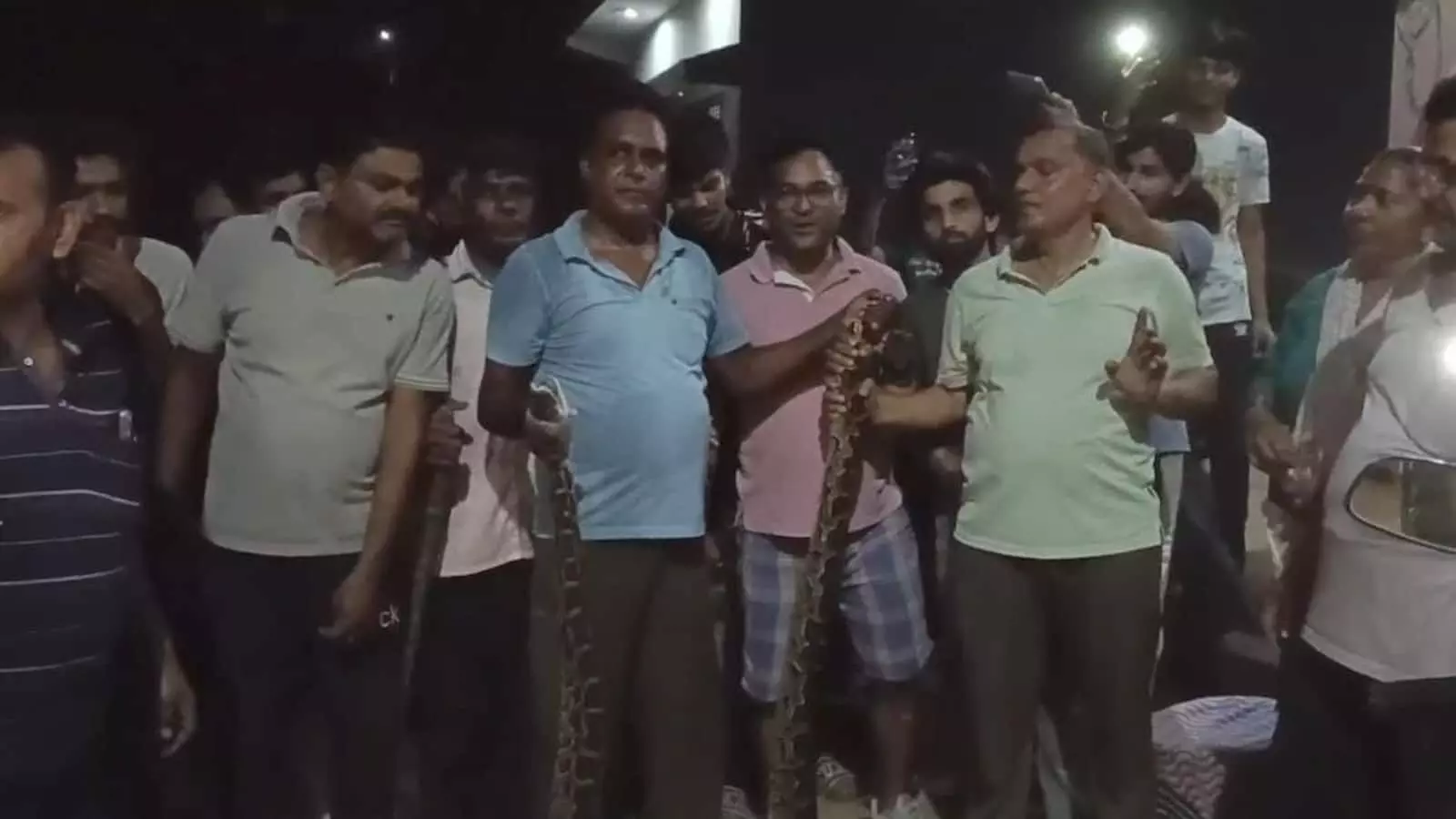 रात के समय कई लोग एक साथ खड़े होकर एक अजगर को पकड़े हुए दिखाई दे रहे हैं। रात के समय कई लोग एक साथ खड़े होकर एक अजगर को पकड़े हुए दिखाई दे रहे हैं।