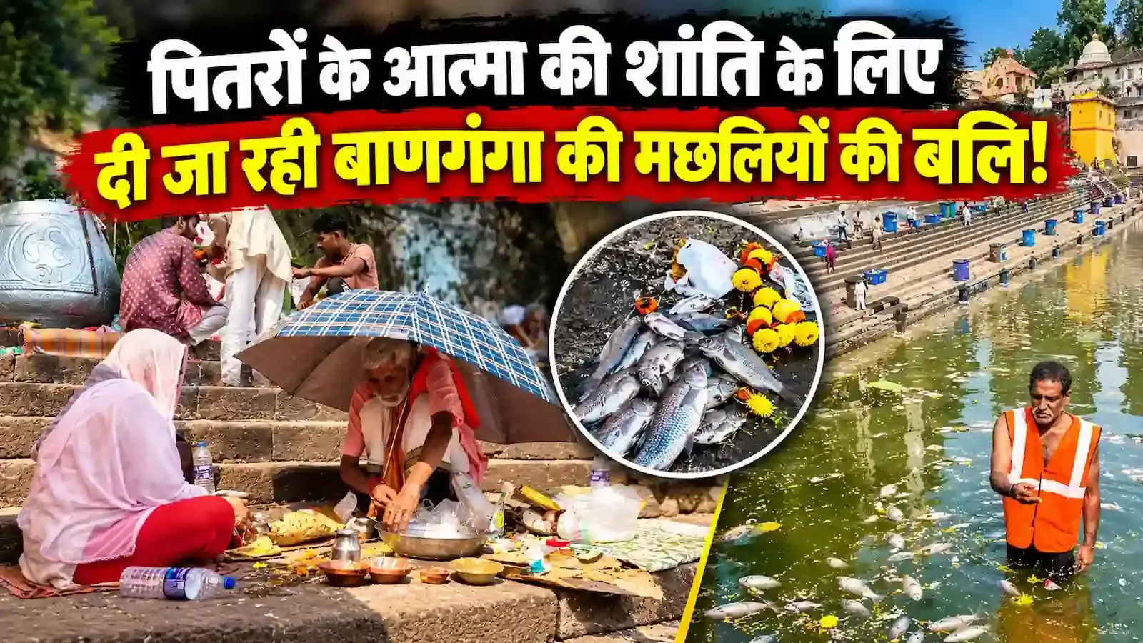मुंबई के बाणगंगा कुंड के दूषित पानी में तैरती मृत मछलियाँ और घाट का दृश्य मुंबई के बाणगंगा कुंड के दूषित पानी में तैरती मृत मछलियाँ और घाट का दृश्य