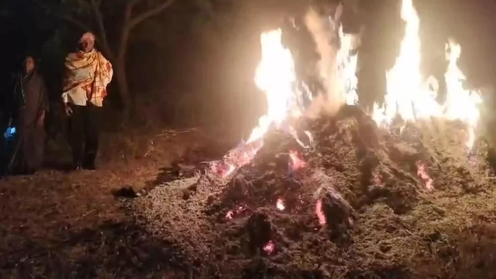 तस्वीर में रात के समय खेत में जलती सोयाबीन की फसल और पास खड़े किसान दिख रहे हैं। तस्वीर में रात के समय खेत में जलती सोयाबीन की फसल और पास खड़े किसान दिख रहे हैं।