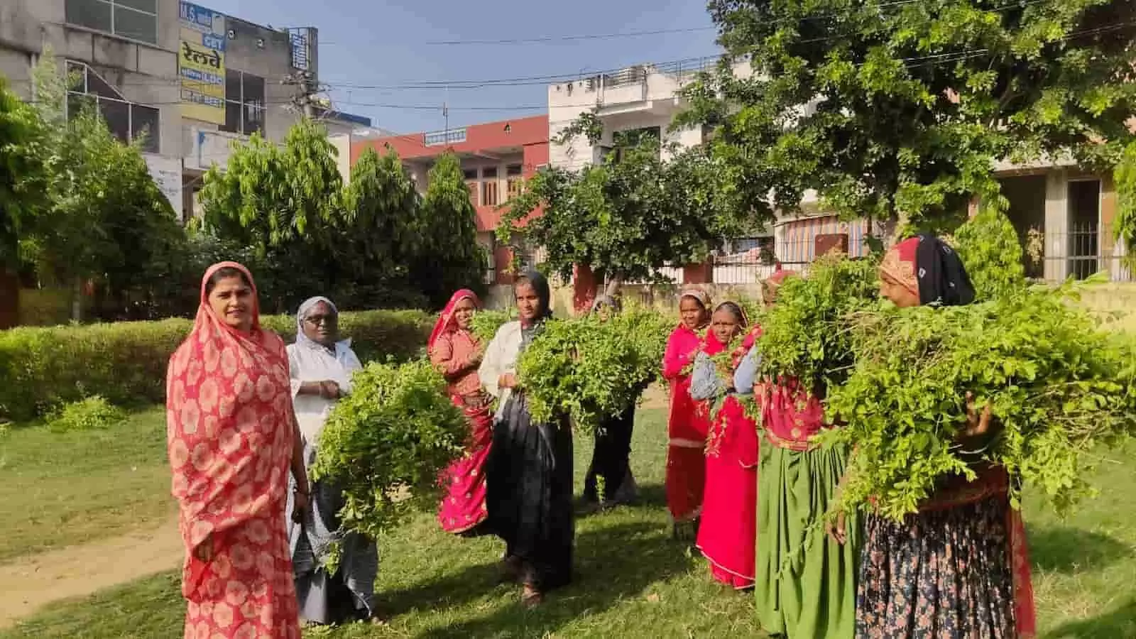 तस्वीर में दिख रहीं पार्षद अनुराधा शर्मा बाल मंदिर कॉलोनी स्थित पार्क में महिला सफाईकर्मियों के साथ खड़ी हैं। तस्वीर में दिख रहीं पार्षद अनुराधा शर्मा बाल मंदिर कॉलोनी स्थित पार्क में महिला सफाईकर्मियों के साथ खड़ी हैं।
