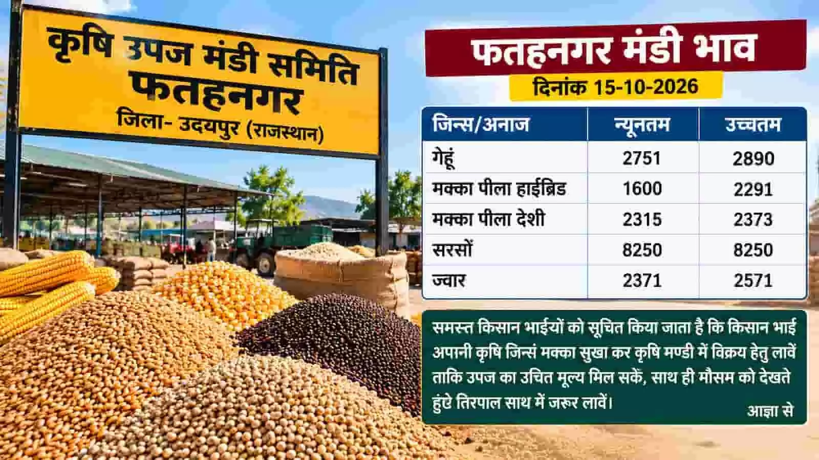 उदयपुर की फतहनगर कृषि उपज मंडी में बिक्री के लिए रखी गई फसल और अनाज के बोरे। उदयपुर की फतहनगर कृषि उपज मंडी में बिक्री के लिए रखी गई फसल और अनाज के बोरे।