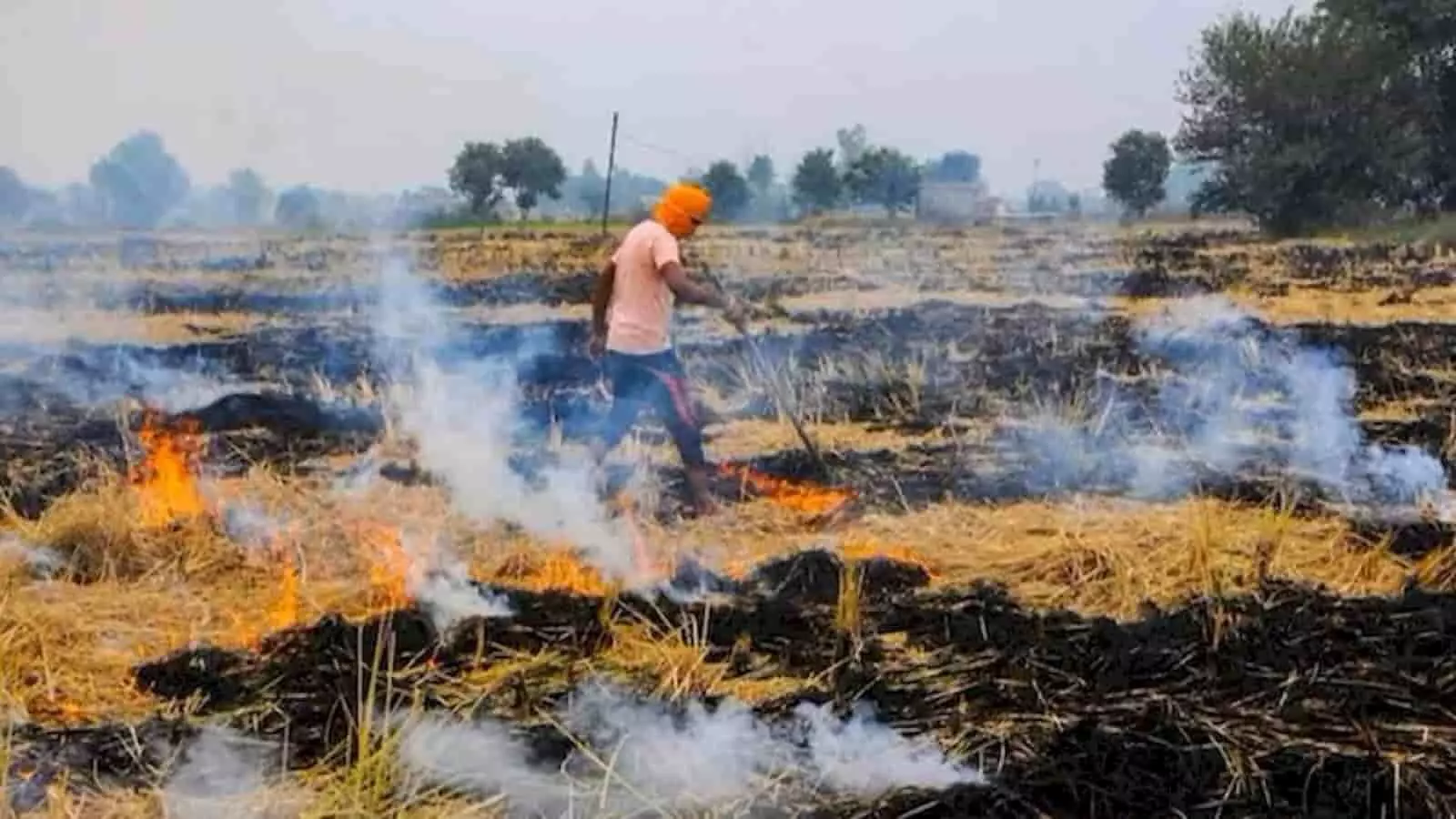 सिरसा में पराली जलाने पर पहली FIR, रघुआना के किसान पर कार्रवाई सिरसा में पराली जलाने पर पहली FIR, रघुआना के किसान पर कार्रवाई