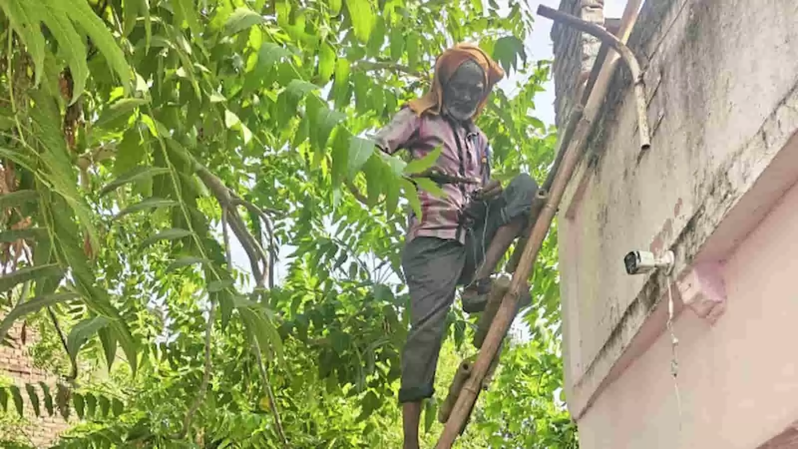 तस्वीर में सीढ़ी पर चढ़कर स्ट्रीट लाइट की मरम्मत करता हुआ एक बिजली कर्मचारी दिख रहा है। तस्वीर में सीढ़ी पर चढ़कर स्ट्रीट लाइट की मरम्मत करता हुआ एक बिजली कर्मचारी दिख रहा है।