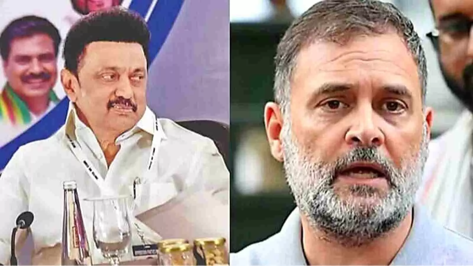 एक फ्रेम में बाएं एमके स्टालिन और दाएं राहुल गांधी का दृश्य। एक फ्रेम में बाएं एमके स्टालिन और दाएं राहुल गांधी का दृश्य।