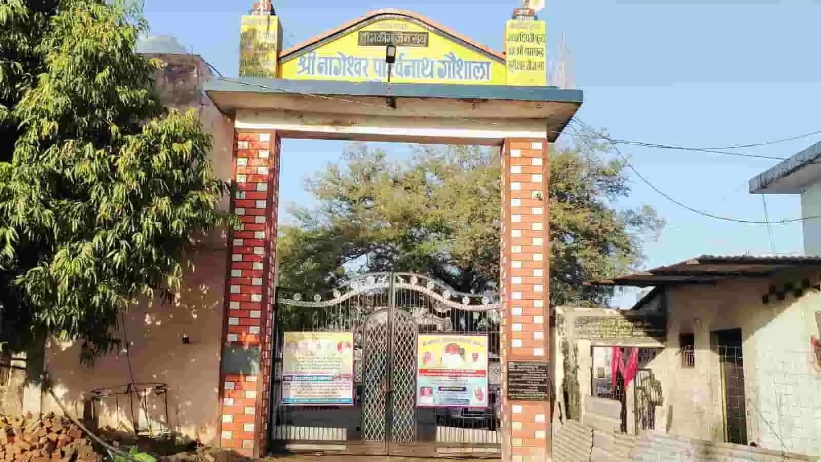 तस्वीर में भींडर स्थित श्री नागेश्वर पार्श्वनाथ गौशाला का मुख्य द्वार दिख रहा है। तस्वीर में भींडर स्थित श्री नागेश्वर पार्श्वनाथ गौशाला का मुख्य द्वार दिख रहा है।