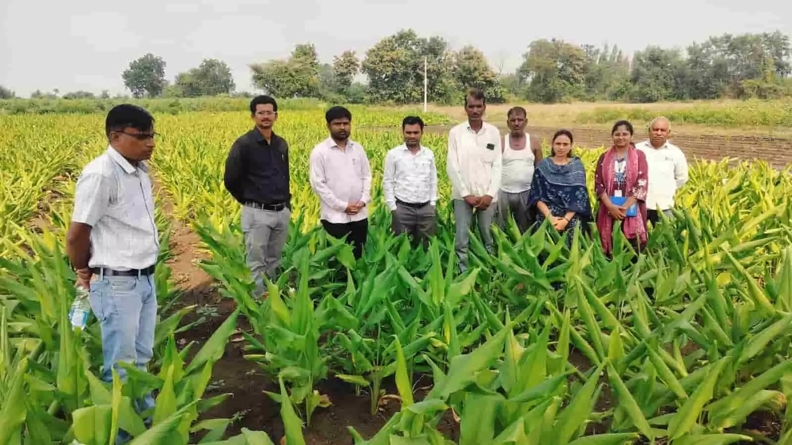 तस्वीर में वर्धा के खेत में फसलों का निरीक्षण करते कृषि अधिकारी और किसान दिख रहे हैं। तस्वीर में वर्धा के खेत में फसलों का निरीक्षण करते कृषि अधिकारी और किसान दिख रहे हैं।