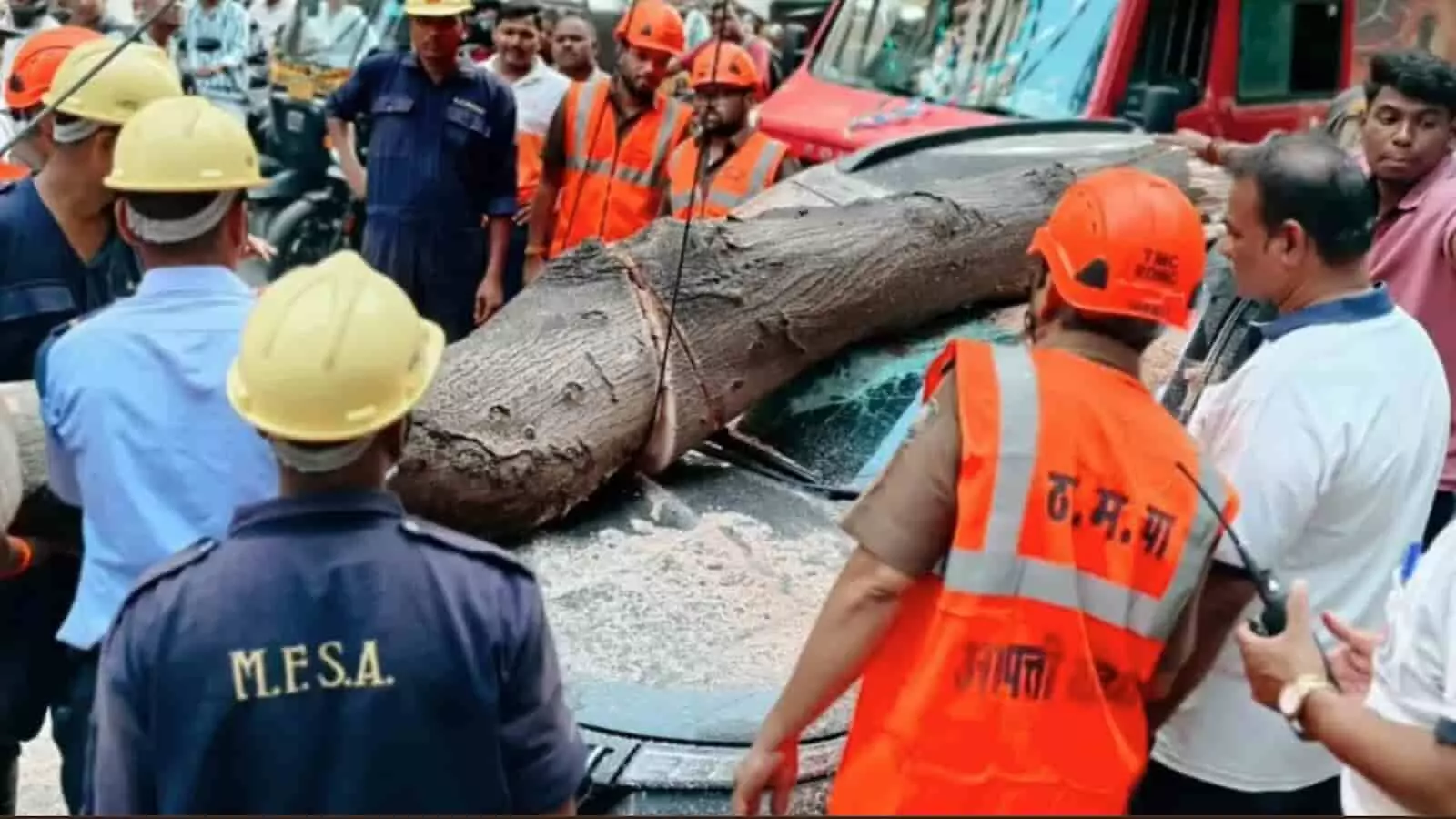 तस्वीर में ठाणे में गिरे पेड़ के तने को हटाते आपदा प्रबंधन कर्मी तस्वीर में ठाणे में गिरे पेड़ के तने को हटाते आपदा प्रबंधन कर्मी