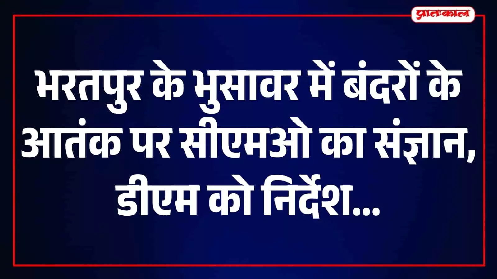 भुसावर सहित भरतपुर के ग्रामीण इलाकों में बंदरों के आतंक से राहत की उम्मीद, CM कार्यालय ने दिए कार्रवाई के निर्देश भुसावर सहित भरतपुर के ग्रामीण इलाकों में बंदरों के आतंक से राहत की उम्मीद, CM कार्यालय ने दिए कार्रवाई के निर्देश