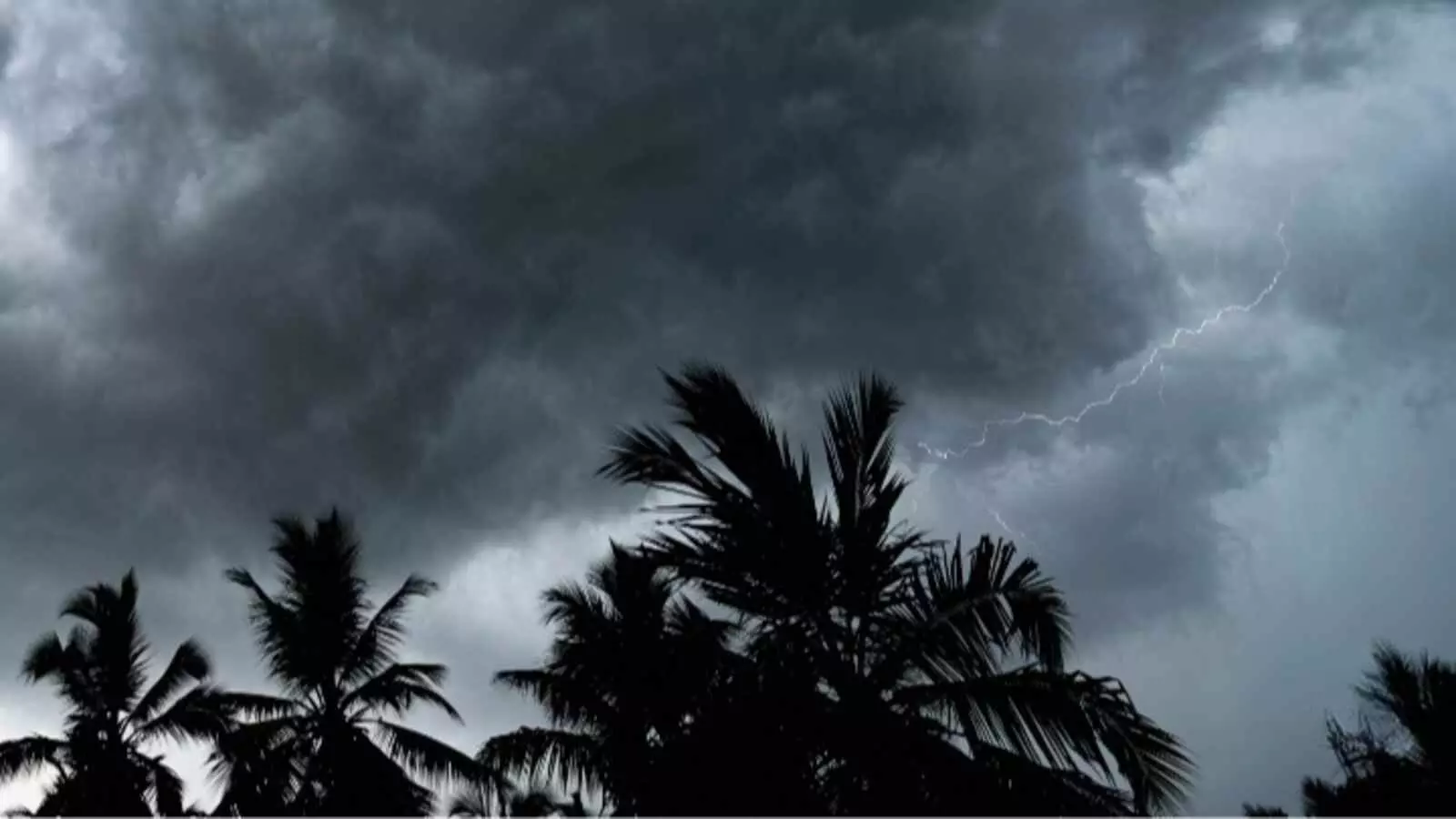 काले घने बादल और पेड़ देश के कई हिस्सों में बारिश और आंधी के संदर्भ में दिख रहे हैं काले घने बादल और पेड़ देश के कई हिस्सों में बारिश और आंधी के संदर्भ में दिख रहे हैं