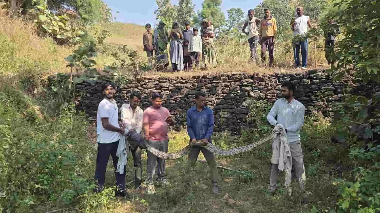तस्वीर में स्नेक मित्र और ग्रामीण खेरवाड़ा में रेस्क्यू किया गया 12 फीट लंबा अजगर पकड़े हुए हैं। तस्वीर में स्नेक मित्र और ग्रामीण खेरवाड़ा में रेस्क्यू किया गया 12 फीट लंबा अजगर पकड़े हुए हैं।