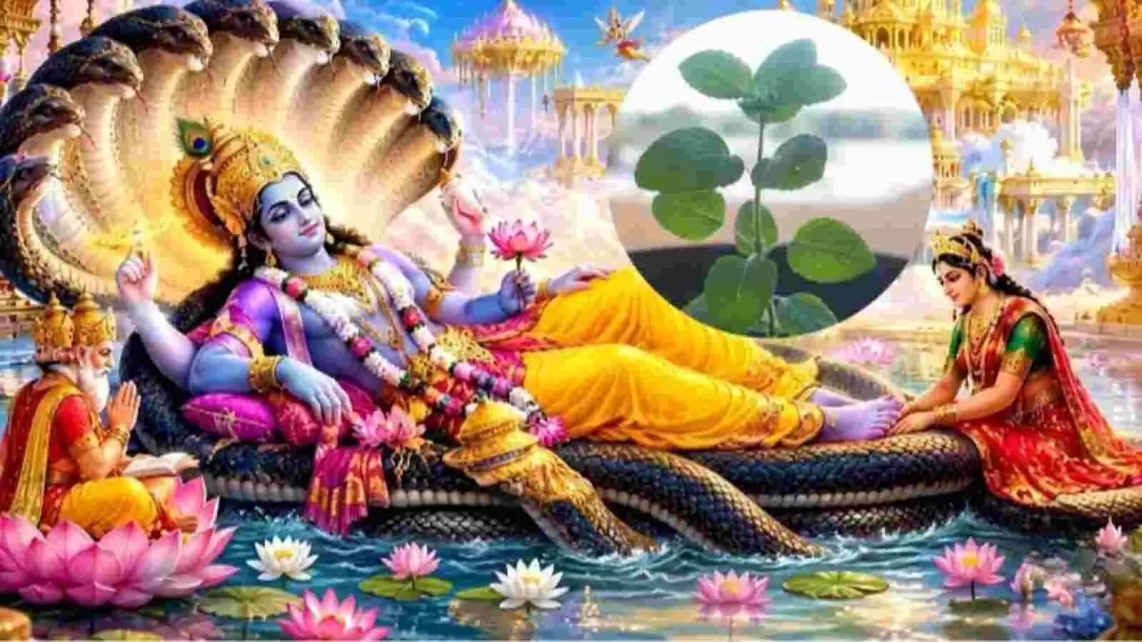 भगवान विष्णु और माता लक्ष्मी के साथ तुलसी का पौधा कार्तिक मास पूजा के संदर्भ में। भगवान विष्णु और माता लक्ष्मी के साथ तुलसी का पौधा कार्तिक मास पूजा के संदर्भ में।