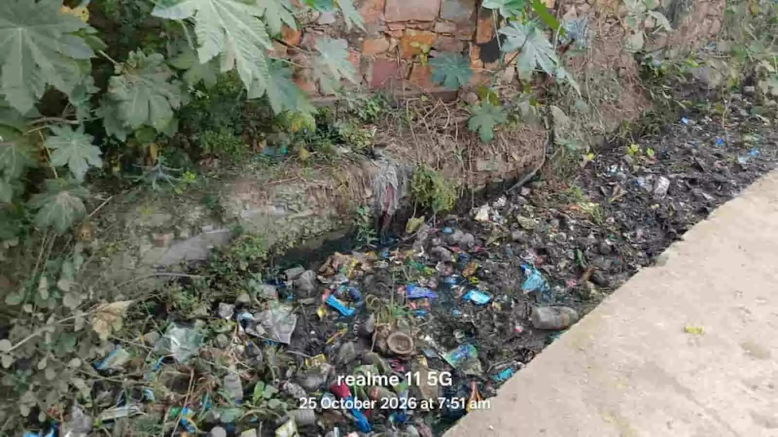 तस्वीर में भुसावर के वार्ड 12 में कचरे से पटा नाला और रुका हुआ पानी दिख रहा है। तस्वीर में भुसावर के वार्ड 12 में कचरे से पटा नाला और रुका हुआ पानी दिख रहा है।