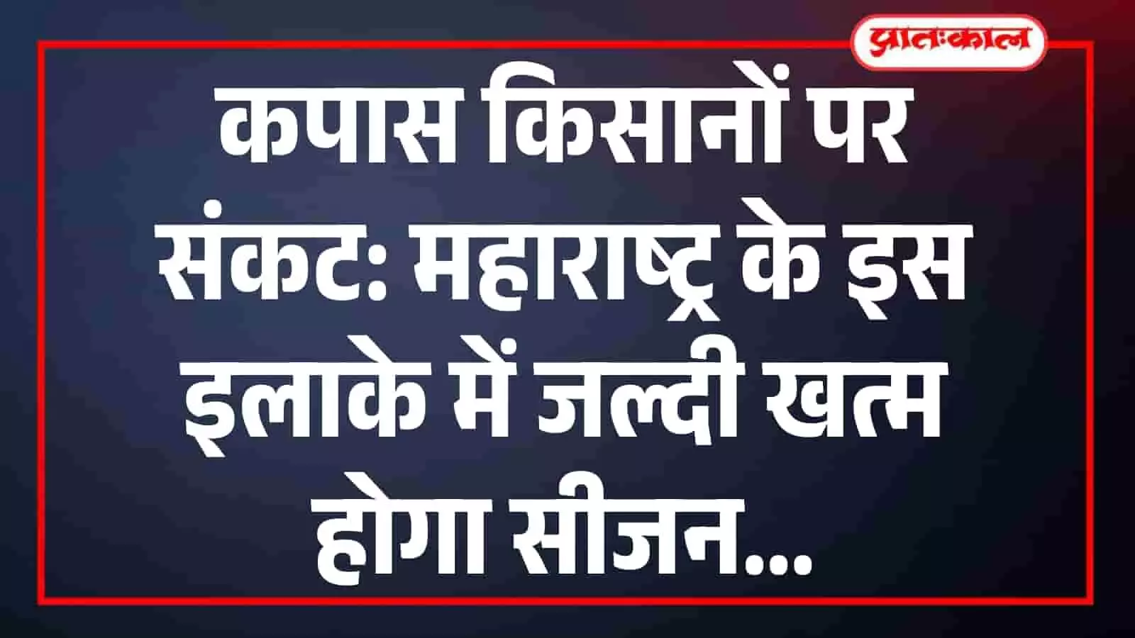 कपास किसानों पर संकट: महाराष्ट्र के इस इलाके में जल्दी खत्म होगा सीजन