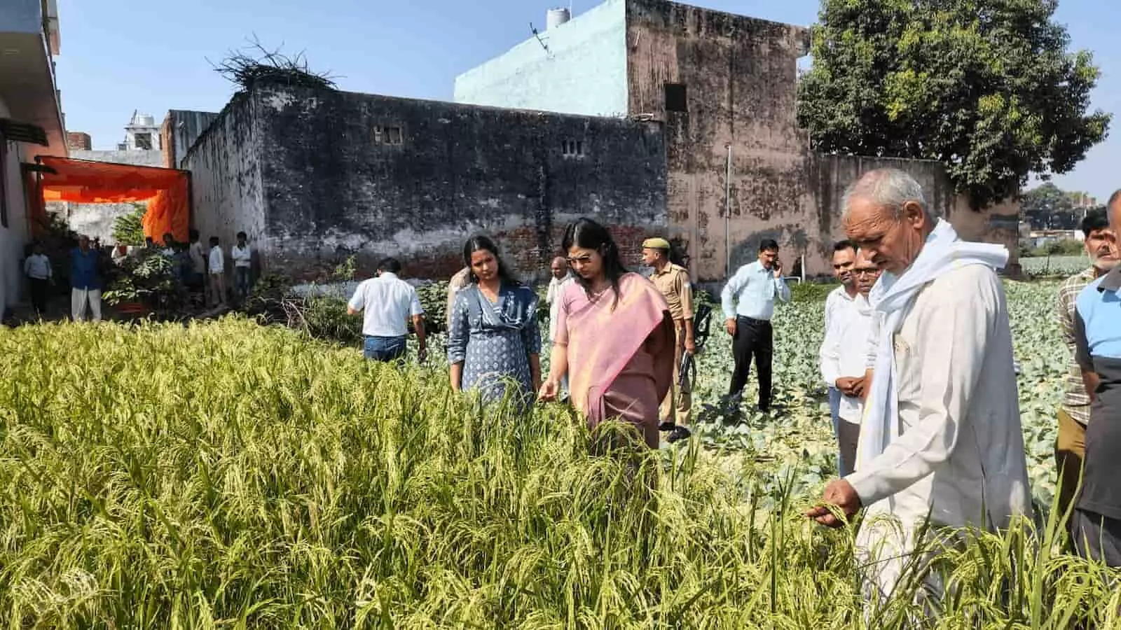 तस्वीर में हापुड़ की जिलाधिकारी कविता मीना खेत में धान की फसल का निरीक्षण करती दिख रही हैं। तस्वीर में हापुड़ की जिलाधिकारी कविता मीना खेत में धान की फसल का निरीक्षण करती दिख रही हैं।