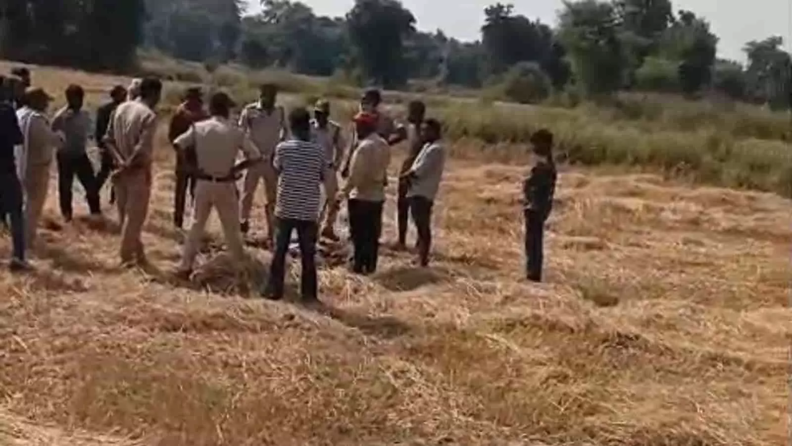 तस्वीर में वन विभाग की टीम कटनी के सिमड़ारी गांव के खेत में खड़े होकर जांच करती दिख रही है। तस्वीर में वन विभाग की टीम कटनी के सिमड़ारी गांव के खेत में खड़े होकर जांच करती दिख रही है।