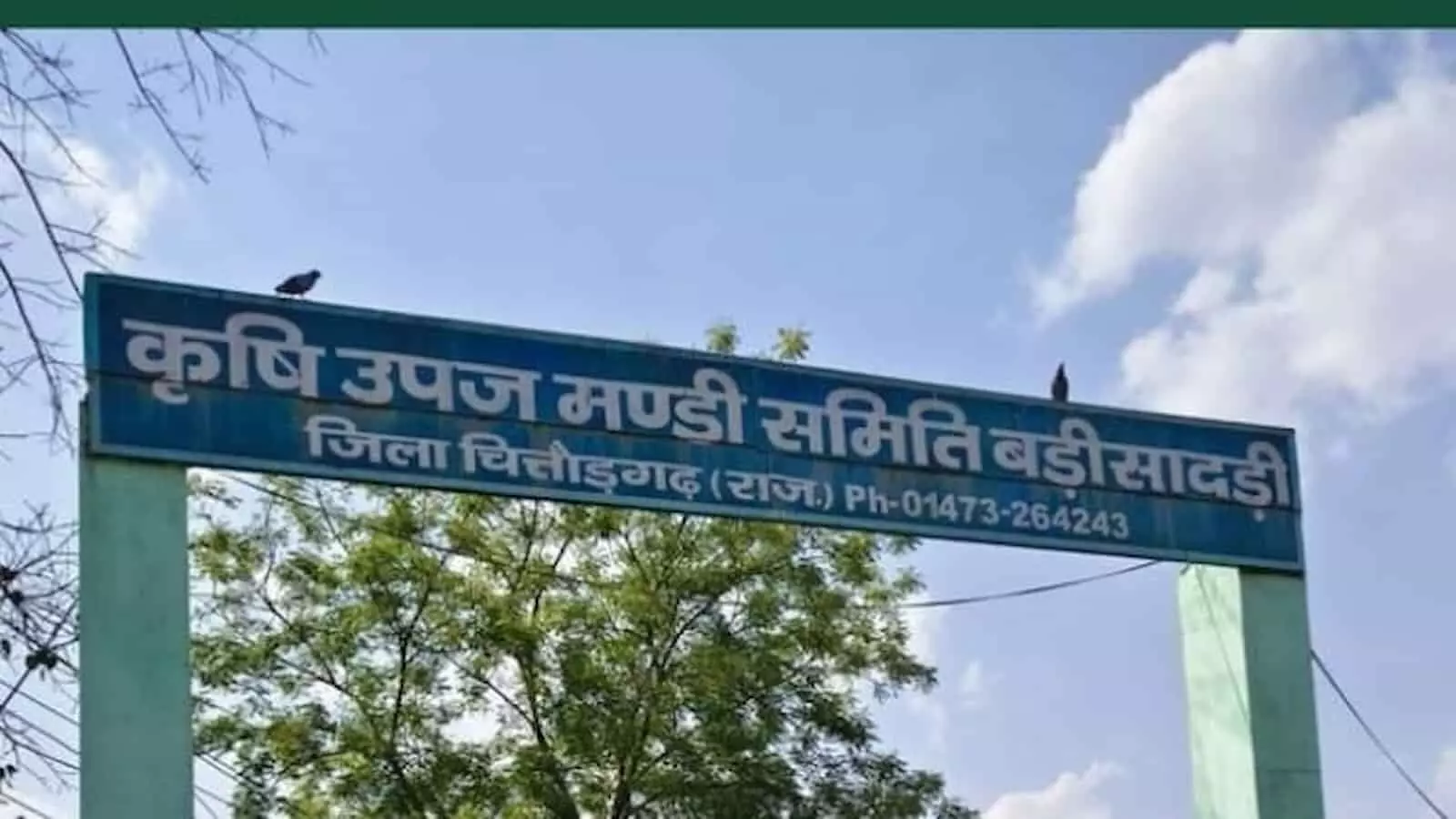 तस्वीर में बड़ी सादड़ी कृषि उपज मंडी समिति का मुख्य द्वार दिखाई दे रहा है। तस्वीर में बड़ी सादड़ी कृषि उपज मंडी समिति का मुख्य द्वार दिखाई दे रहा है।