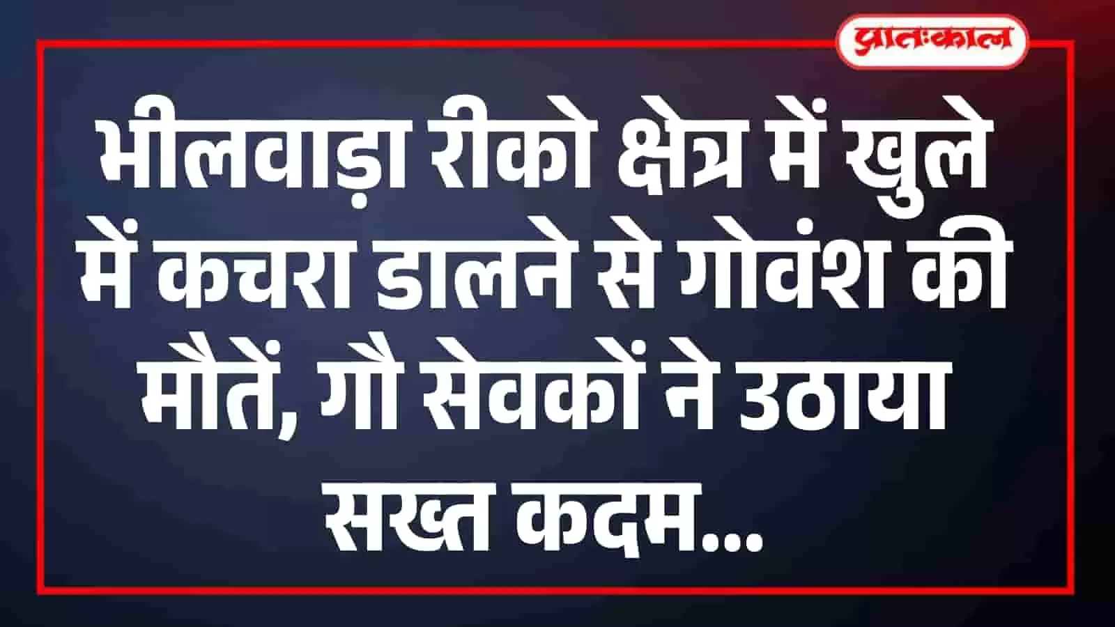 भीलवाड़ा रीको क्षेत्र में खुले में कचरा डालने से गोवंश की मौतें, गौ सेवकों ने उठाया सख्त कदम भीलवाड़ा रीको क्षेत्र में खुले में कचरा डालने से गोवंश की मौतें, गौ सेवकों ने उठाया सख्त कदम