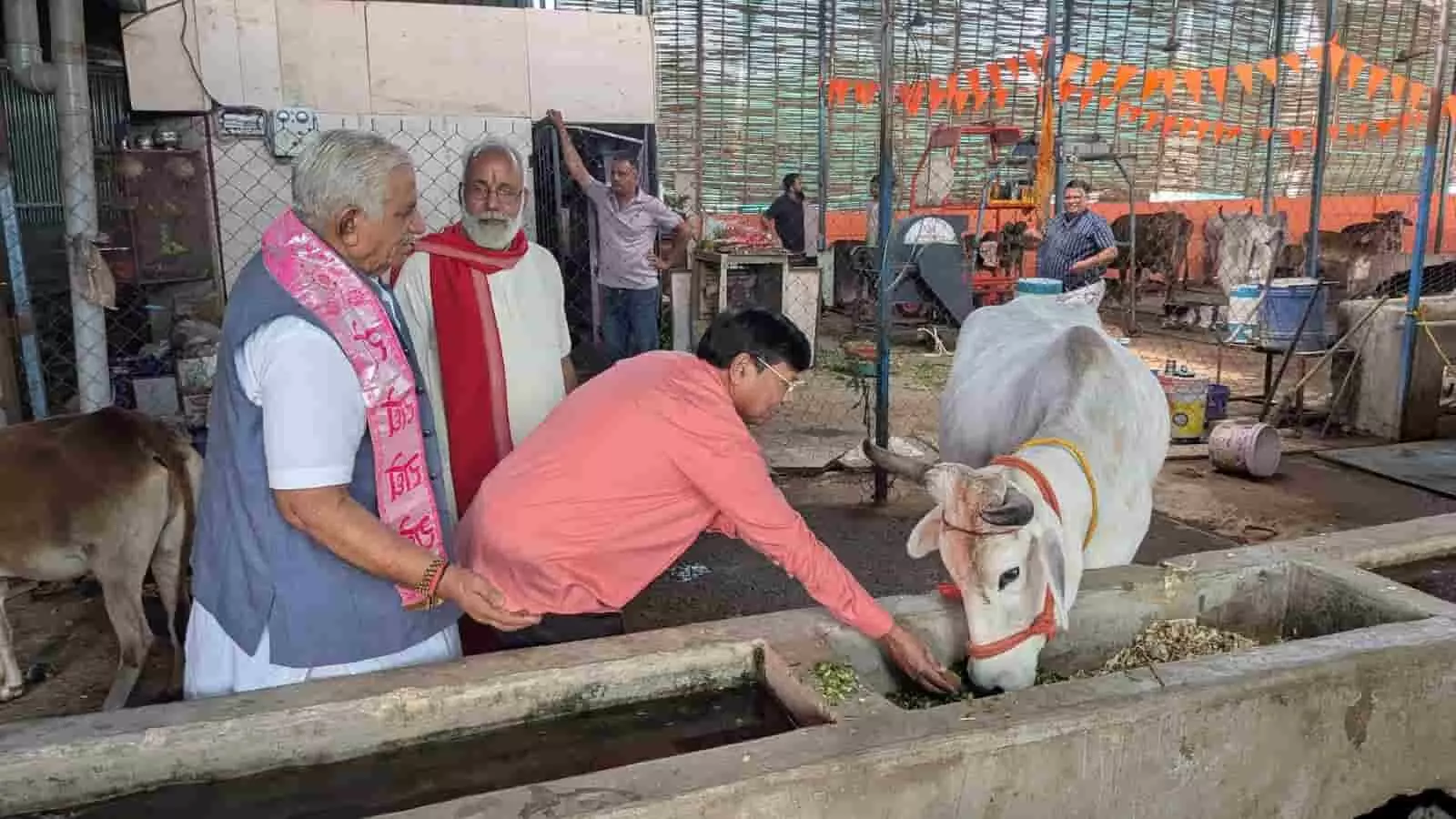 तस्वीर में उदयपुर की गौशाला में भानुकुमार शास्त्री की जयंती पर गाय को चारा खिलाते लोग दिख रहे हैं। तस्वीर में उदयपुर की गौशाला में भानुकुमार शास्त्री की जयंती पर गाय को चारा खिलाते लोग दिख रहे हैं।